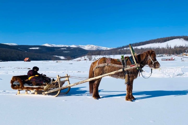 Reindeer Herders: Frequently Asked Questions