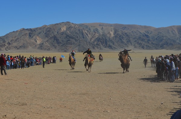 cross mongolia to the festival 08