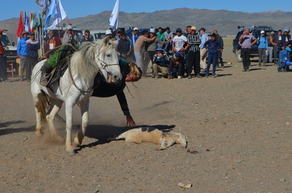 cross mongolia to the festival 11