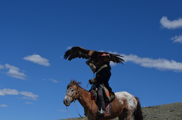 cross mongolia to the festival 12