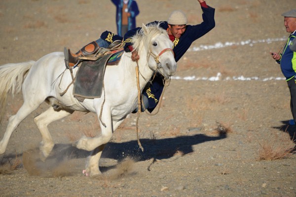 golden eagle festival 11