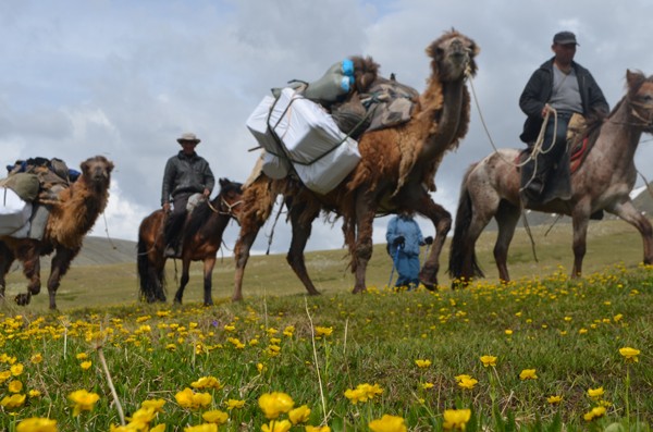 mongolia horseback 01