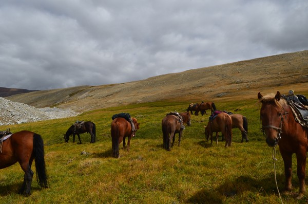 mongolia horseback 04