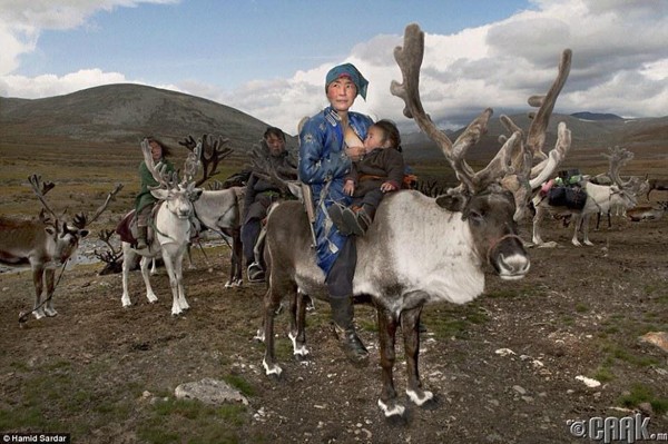 mongolia reindeer tour 03