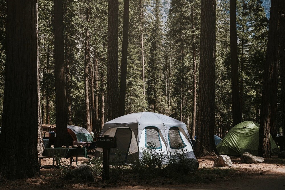 camping in mongolia