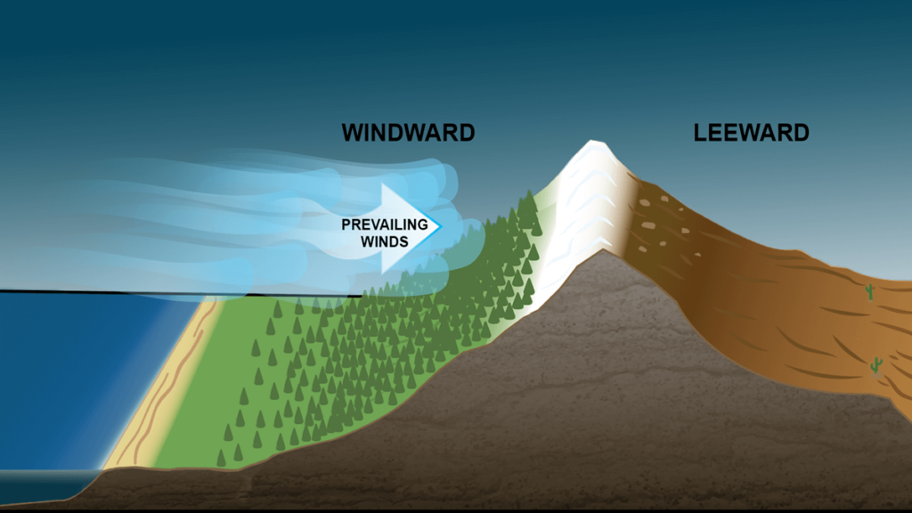 strong wind