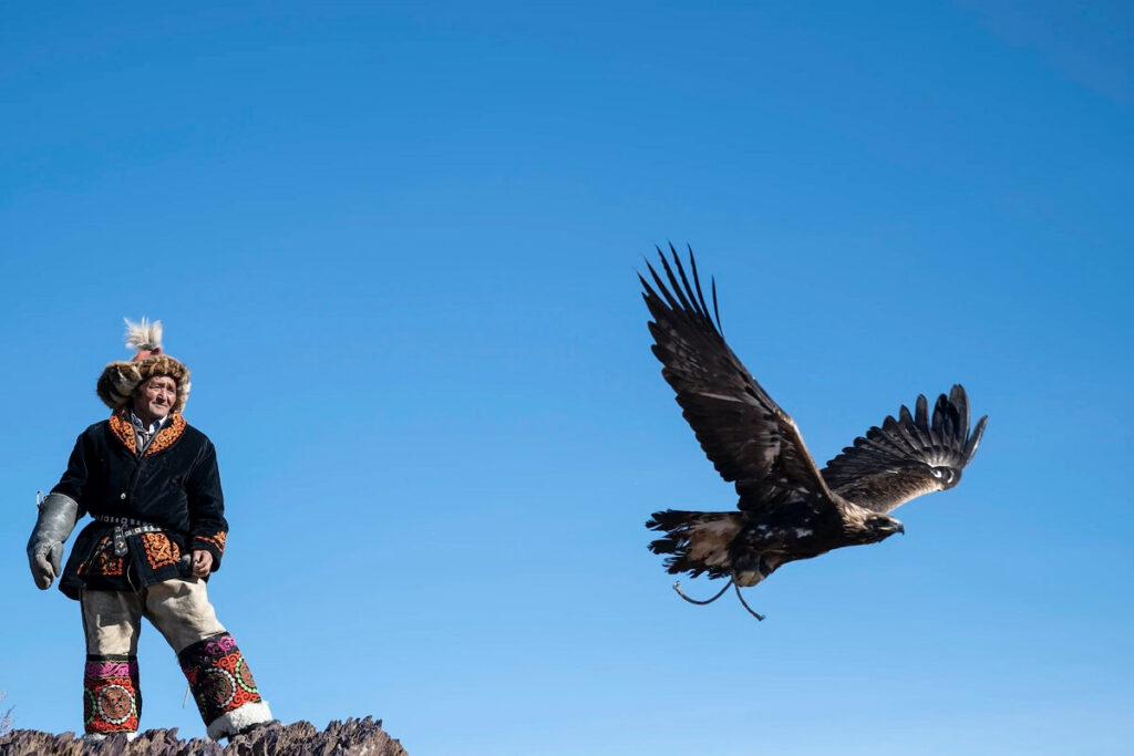 What is the largest eagle in Mongolia?