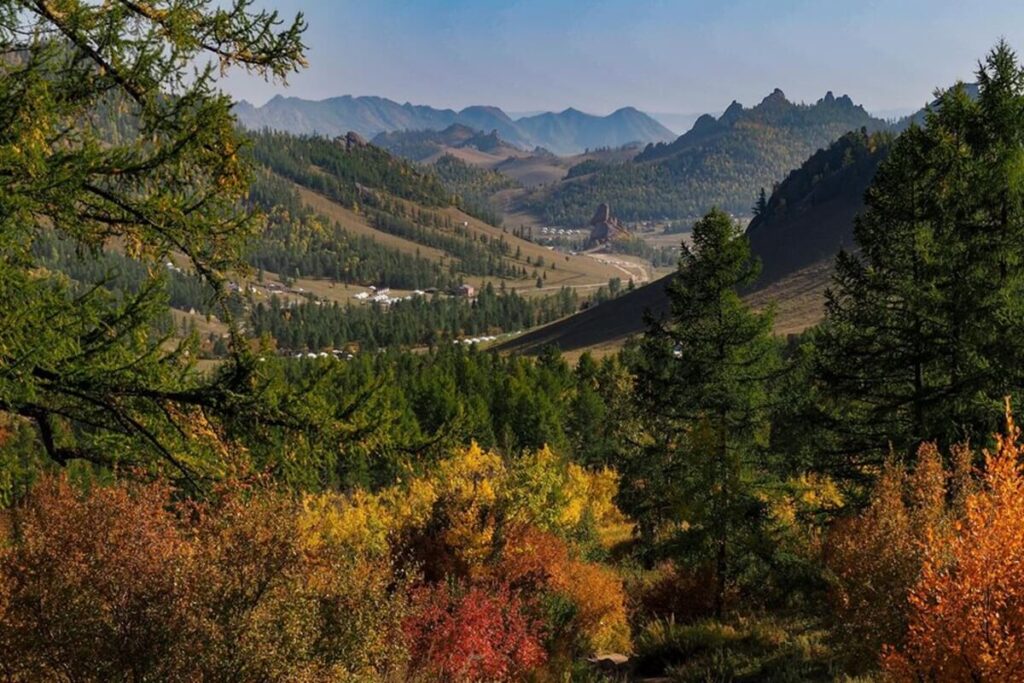 autumn colors gorkhi terelj national park near oulan bataar mongolia 674416 232 1
