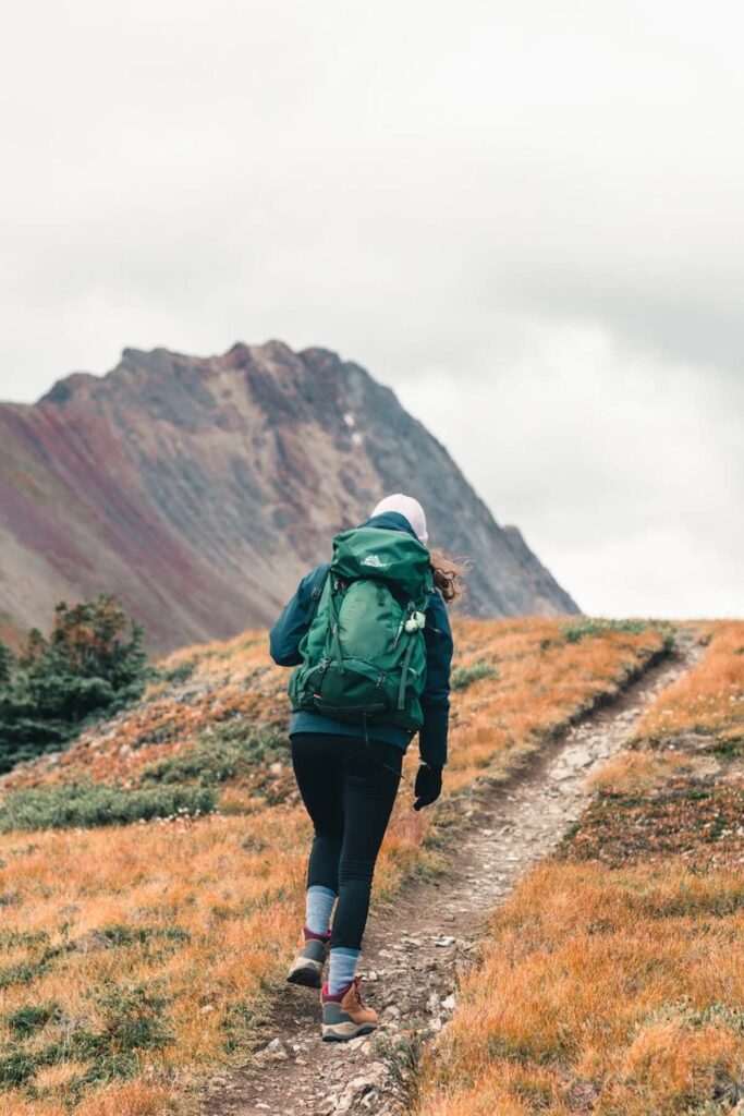 pexels photo 10762358 1