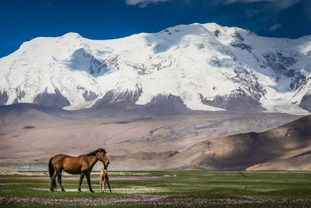 tailormade and group tour mongolia highlight khustain nuruu national park 1 1