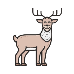 reindeer tour