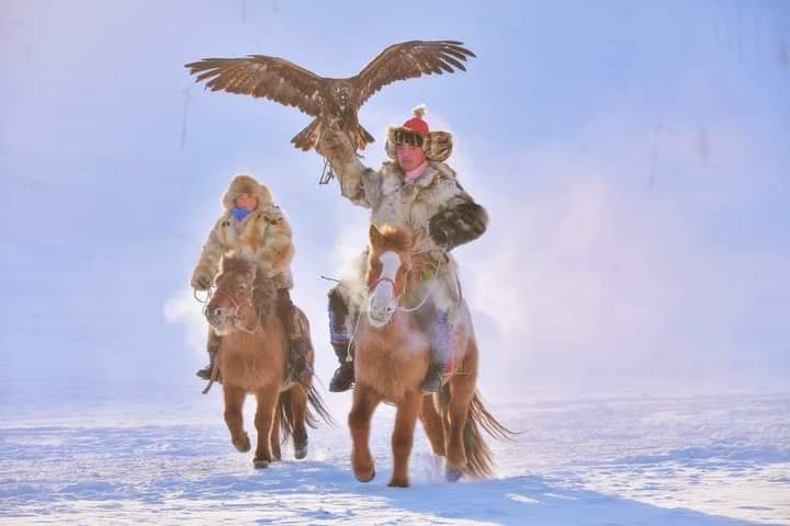 Eagle Hunter migration
