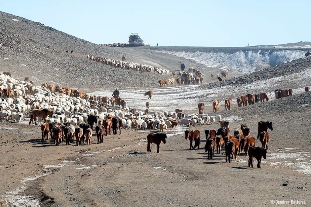 Migration Nomads 1