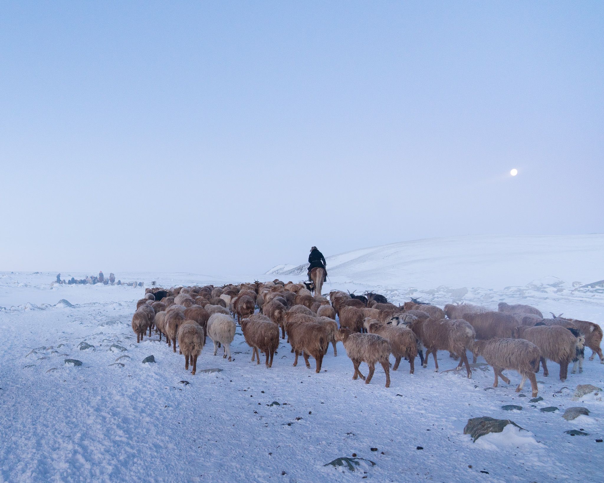 DAY 8: Visit the family of a nomadic eagle hunter