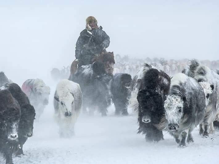 Nomad migration in Altai 1
