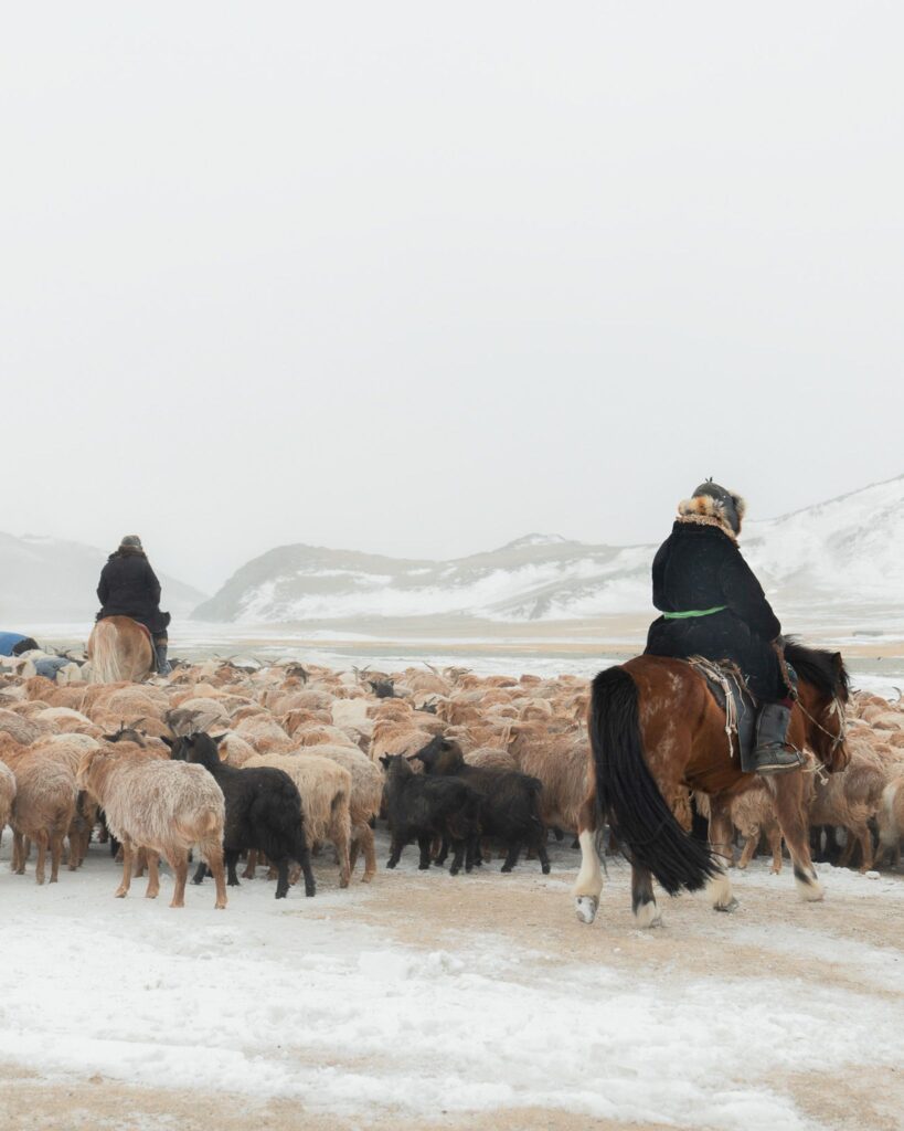 Winter Migration 1