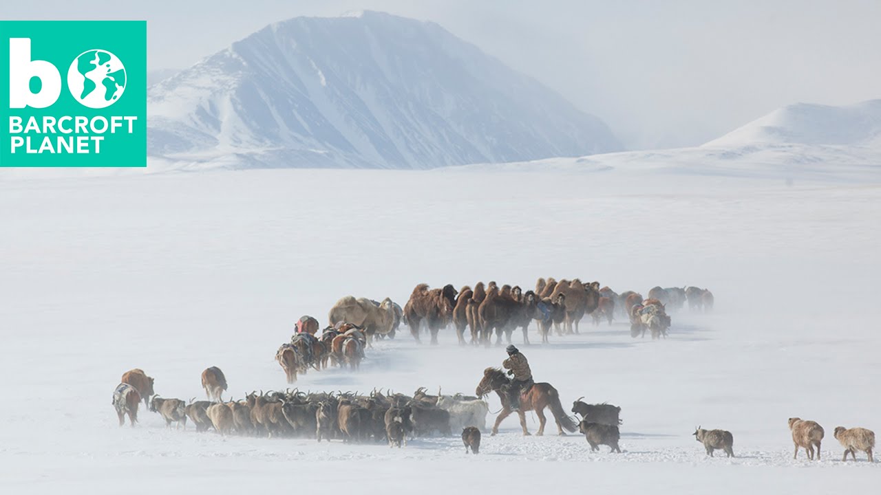 Inside a traditional Mongolian ger