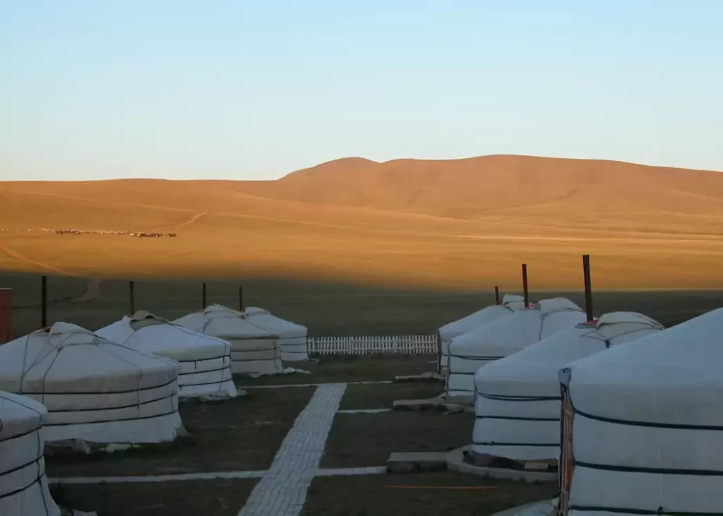 217143 khustai nuruu national park mongolia