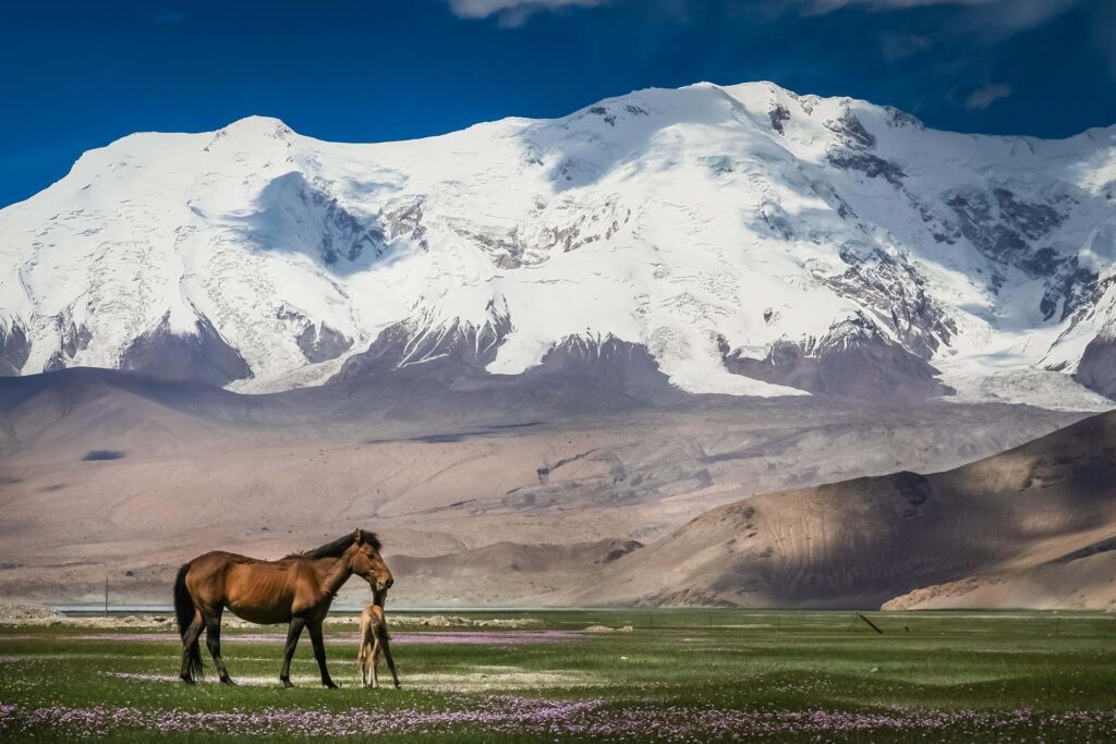 tailormade and group tour mongolia highlight khustain nuruu national park 1