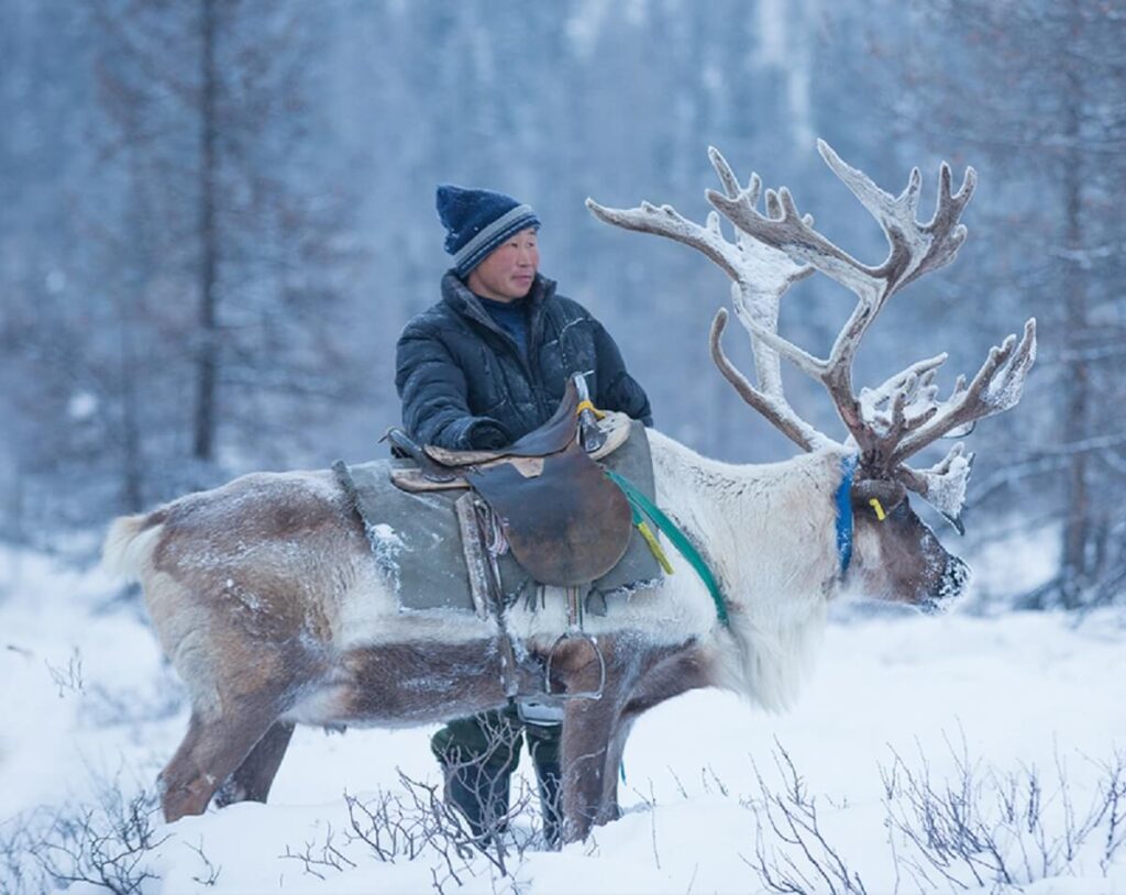 I Documented Tsaatan Reindeer People