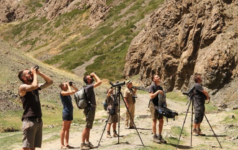 Birdwatching trip in the Altai Mountains