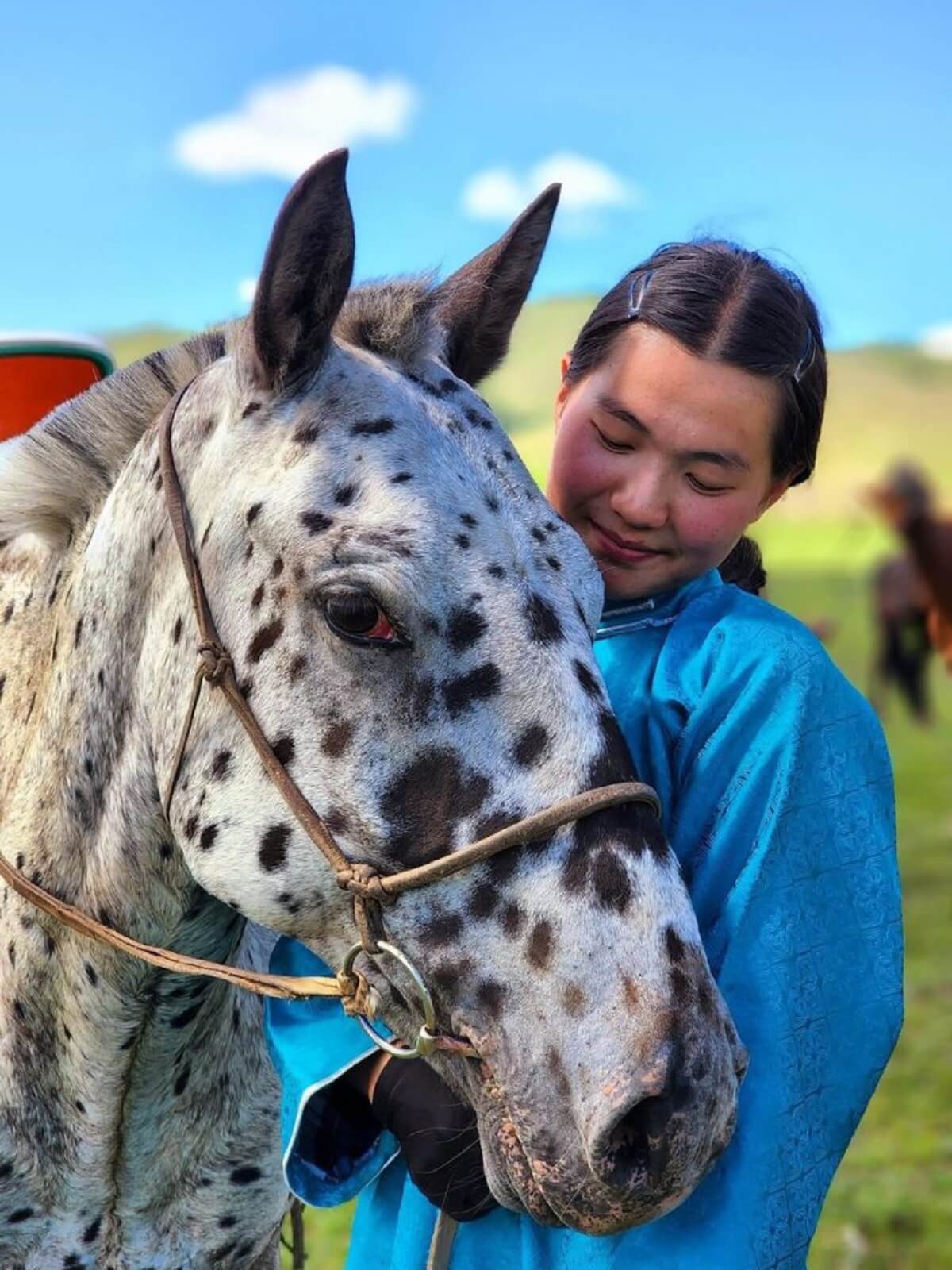 horses in mongolian culture