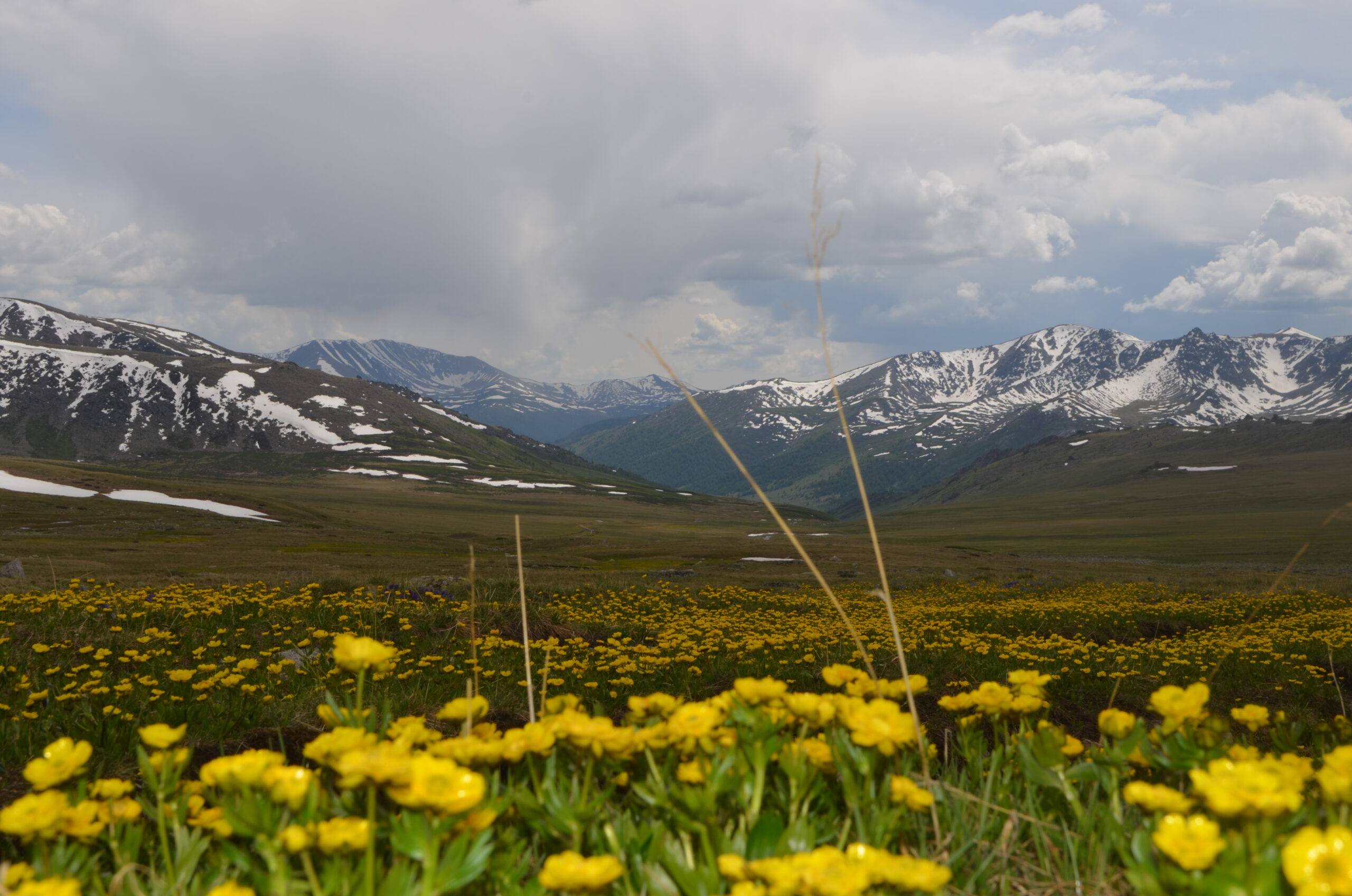 Yolt valley trekking route in the Altai Mountains near Olgii