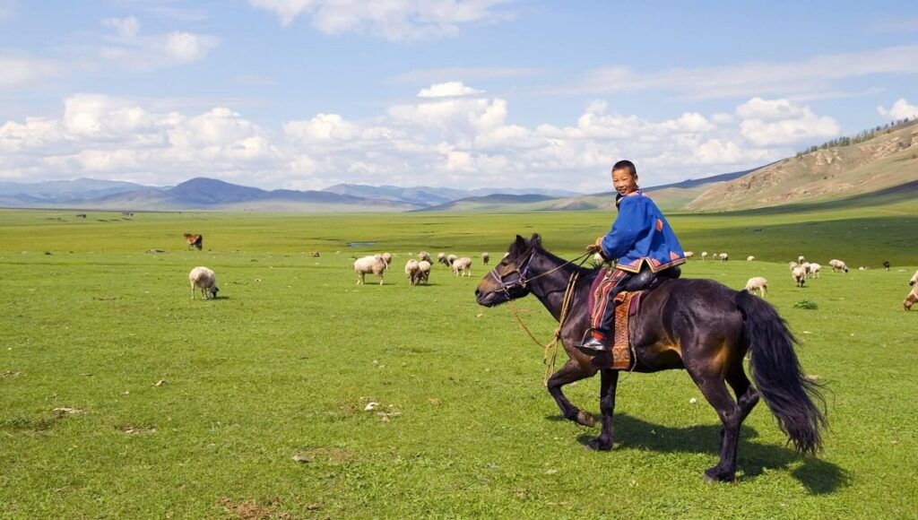 boy riding a horse