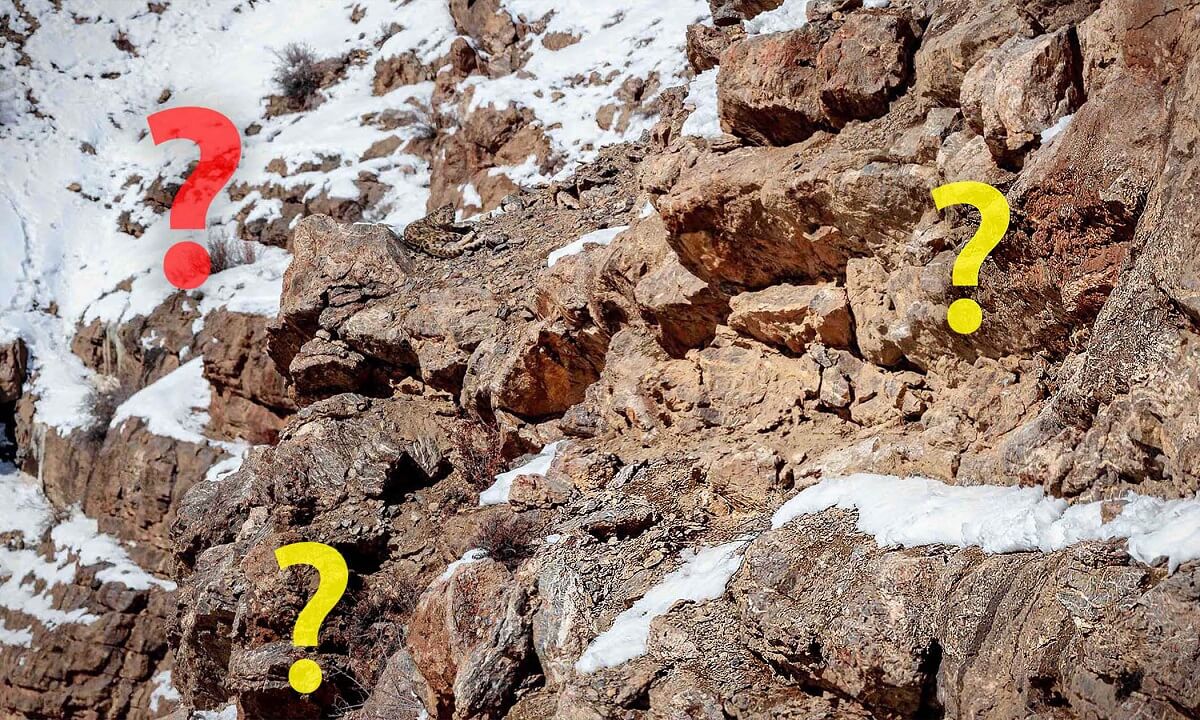 How does snow leopard camouflage?