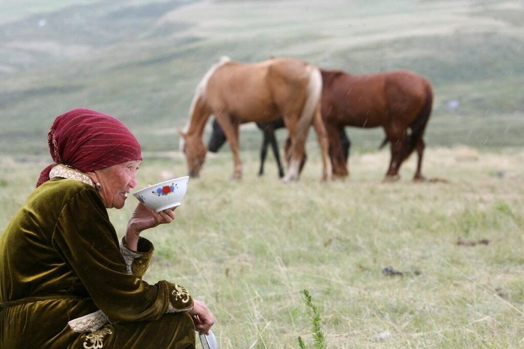 horse