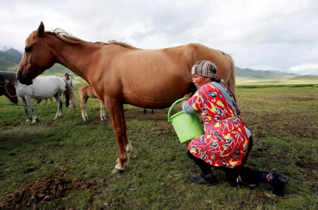 Horse milk