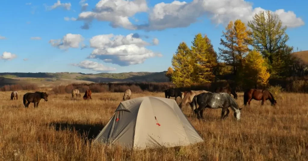 Camping & Sleeping Equipment