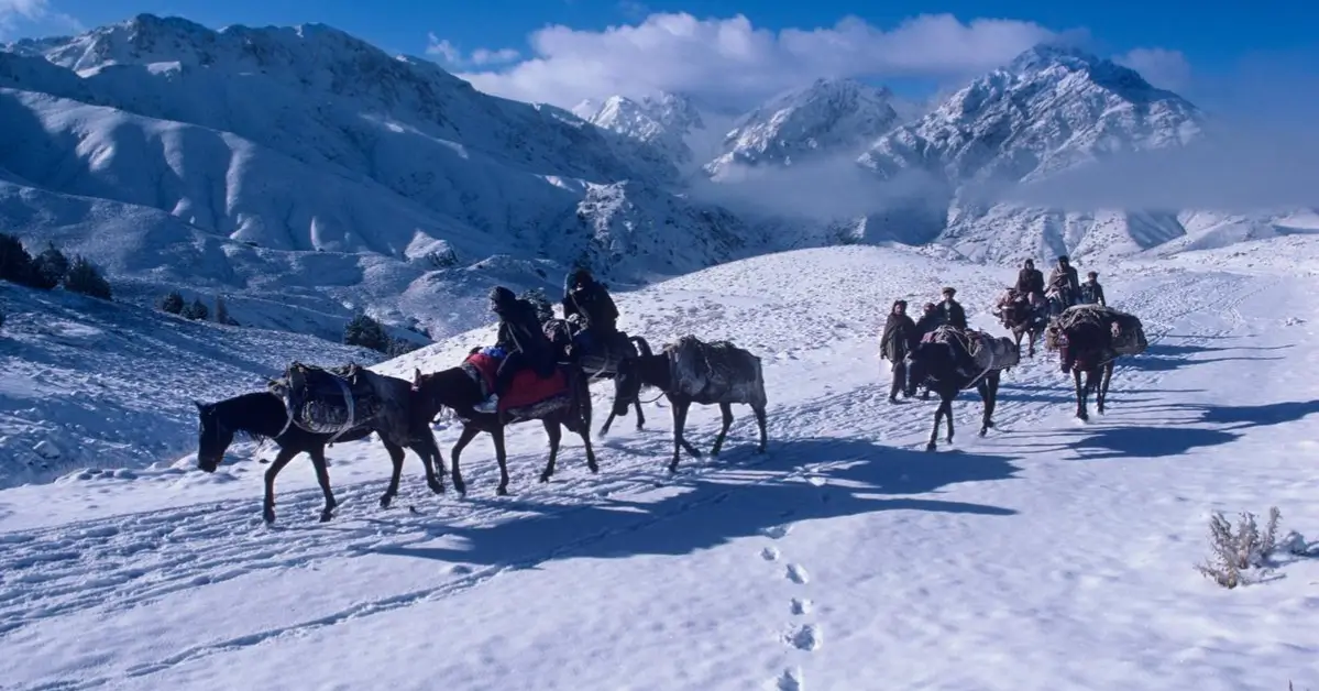 Pack horses crossing a shallow river on the Altai trek route