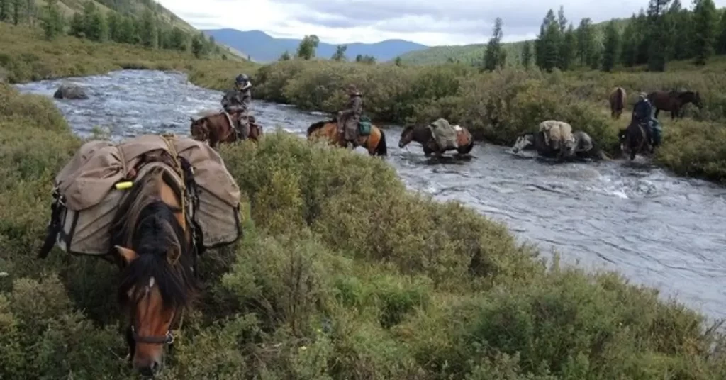 Essential Riding Gear