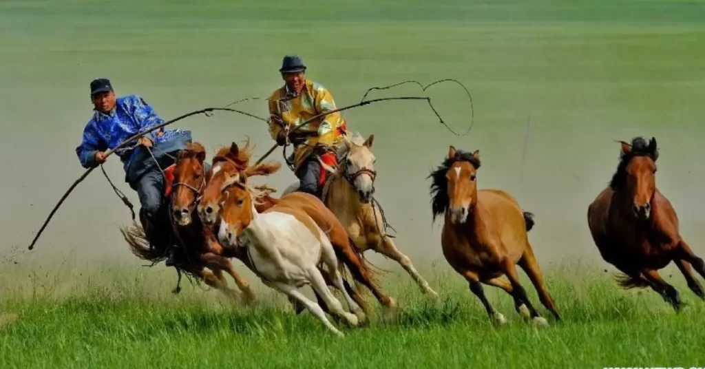 Meeting the Herders and Their Horses