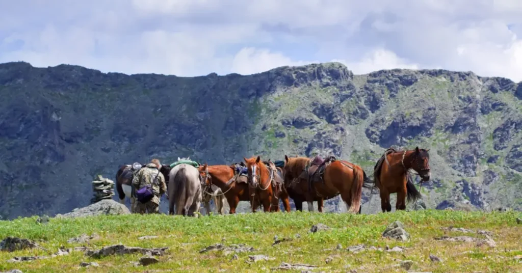 The Altai Mountains and Their Heritage