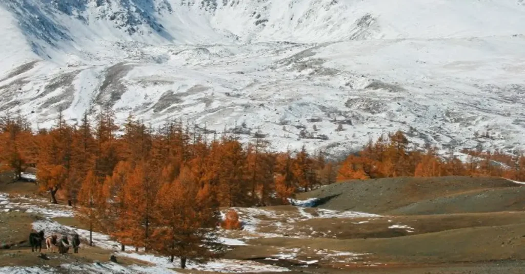 The Altai Mountains in Winter
