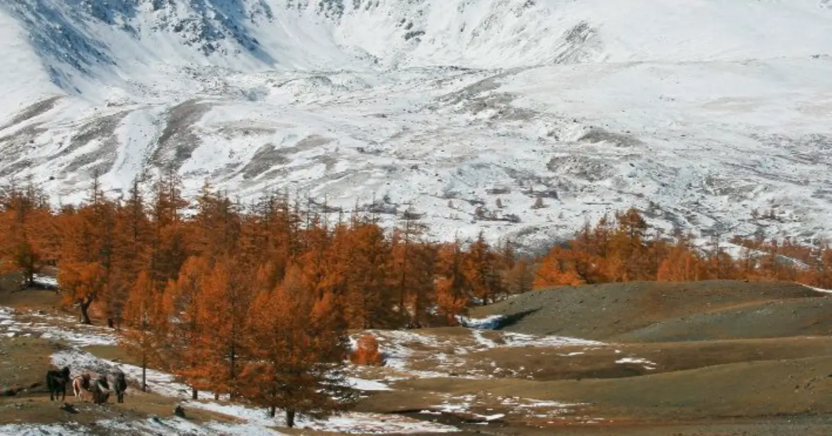 Glaciated peaks and U-shaped valleys of the Altai Mountains carved into granite bedrock.