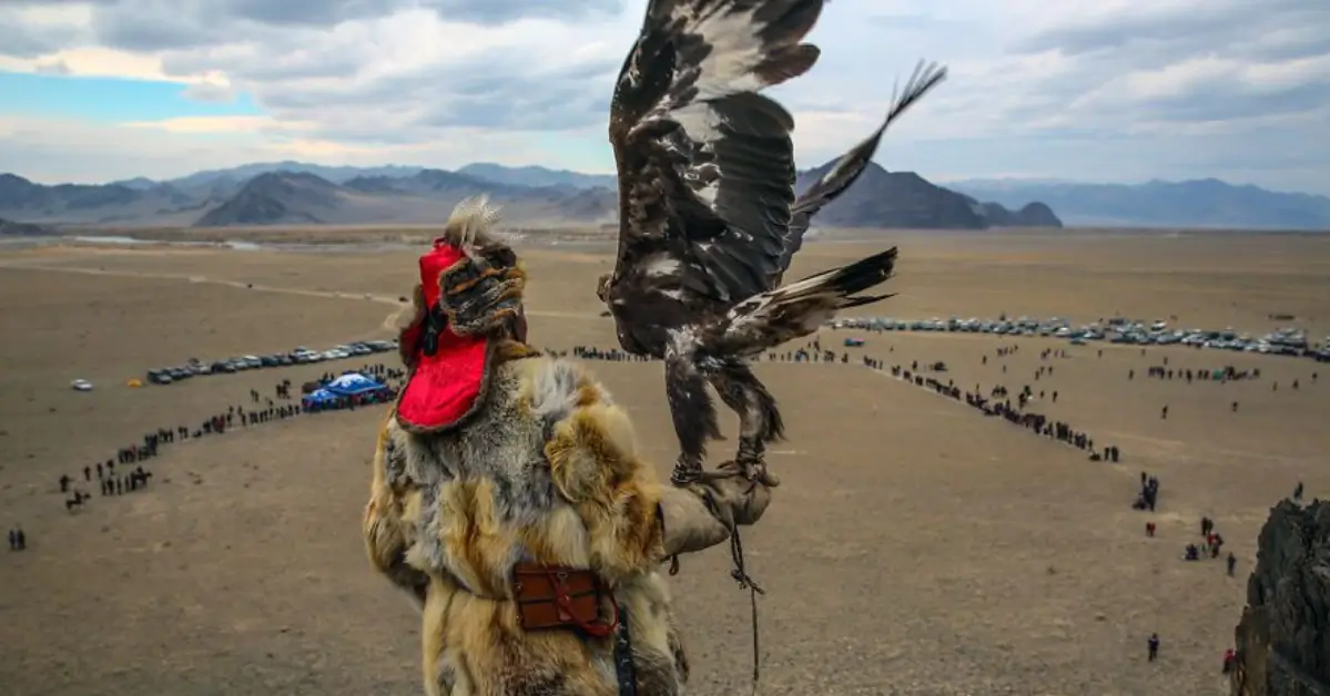What visitors can expect at the Mongolia Golden Eagle Festival.