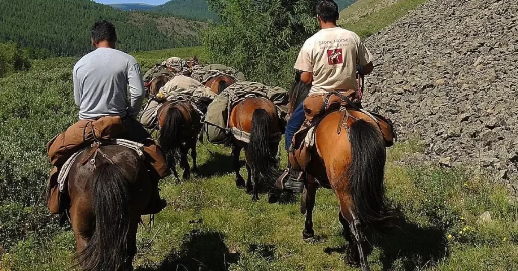 Why Choose Horse Trekking in Altai Mountains