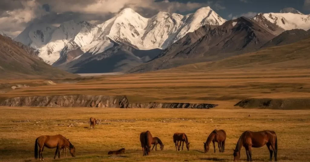 Why the Altai Mountains Are the Perfect Horseback Destination