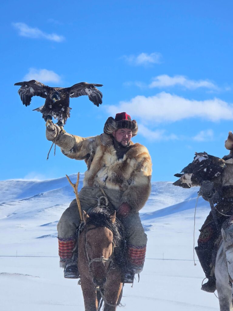 Winter eagle hunter in fox fur raising golden eagle on horseback